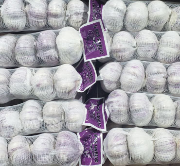 fresh-garlic-from-peru-fields-to-export