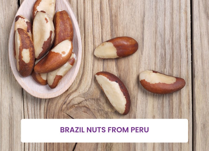 1-Brazil-Nuts-from-Peru-fields-madre-de-dios